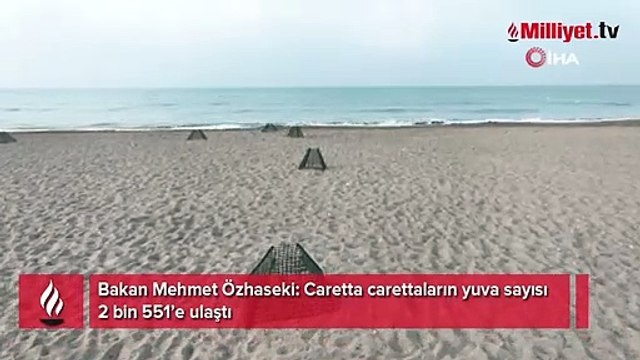 Caretta Carettalara koruma kalkanı! Yuva sayısı 2 bin 551'e ulaştı