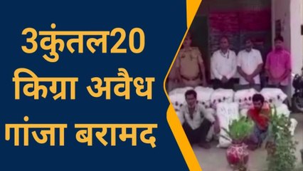 गांजे की इतनी बड़ी खेप देख ख़ाकी भी दंग, क़ीमत उड़ा देगी होश