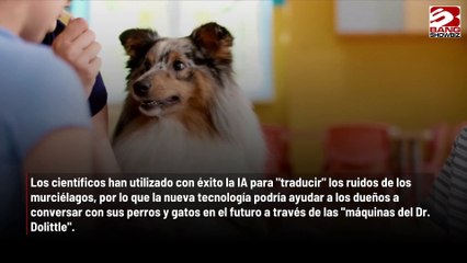 下载视频: Los humanos podrán mantener conversaciones bidireccionales con sus mascotas