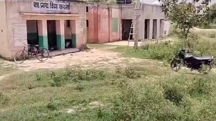 मुरैना: शासकीय प्राथमिक विद्यालय में फैली गंदगी, जिम्मेदारों को नहीं ध्यान