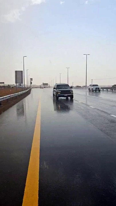 rains shj