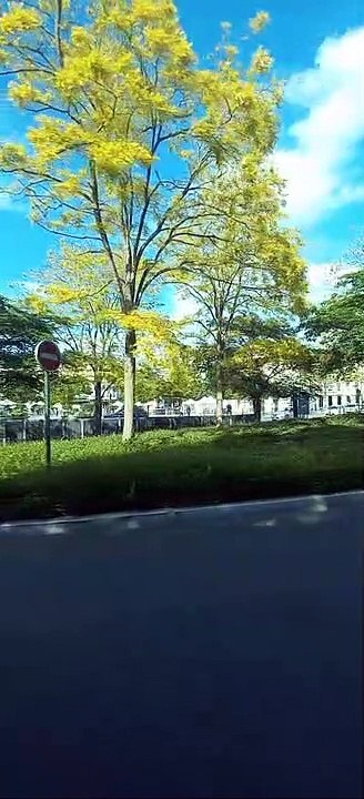 Chartes Bus 1 Direction Barjouville - Pluviers  #france #bustour #bus #frenchcity #francetour  (53)