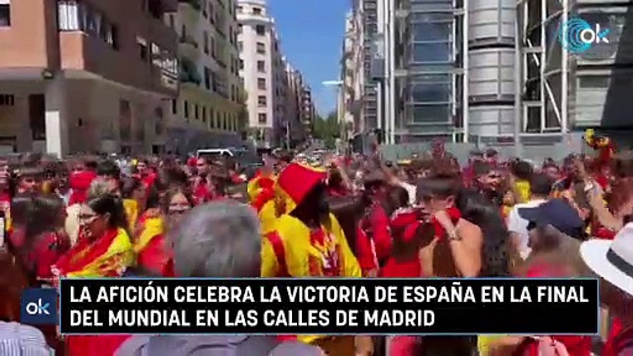 La afición celebra la victoria de España en la final del Mundial en las ...