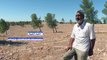 قطع الأشجار يهدّد مساحات حرجية واسعة في سوريا