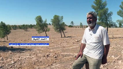 قطع الأشجار يهدّد مساحات حرجية واسعة في سوريا