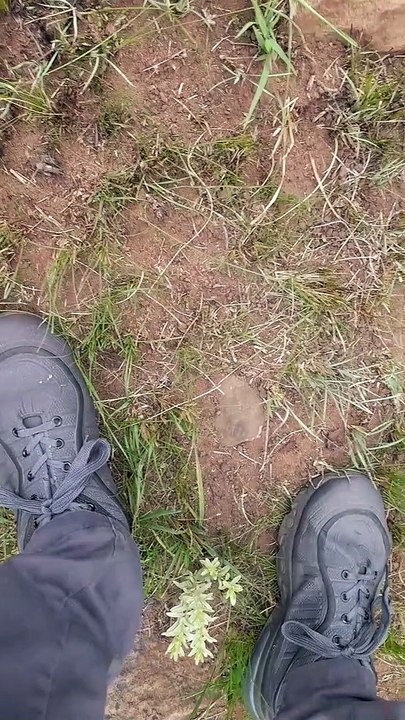 Mesmerizing Threat Display