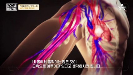 노년의 근육 감소는 신체 전반에 영향을 미친다? 100세 주치의가 알려주는 근감소증의 모든 것!