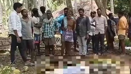 కోనసీమ జిల్లా: విషాదం.. చెట్టుపై నుంచి పడి మృతి