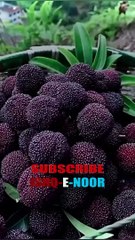 ASMAN K DARWAZE KHOL DIYE JATE HAIN || PYARE NABI SAWW KI PYARI HADEESEN