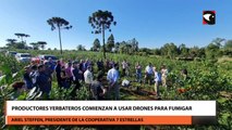 Productores yerbateros comienzan a usar drones para fumigar