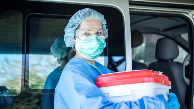 A genetically altered pig kidney transplanted into a human a month ago is still working: ‘It looks even better than a human kidney’