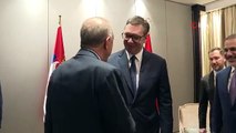 Cumhurbaşkanı Erdoğan, Sırbistan Cumhurbaşkanı Vuçic ile görüştü
