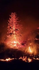 Images dramatiques d'un incendie de forêt se propageant à Kelowna, en Colombie-Britannique