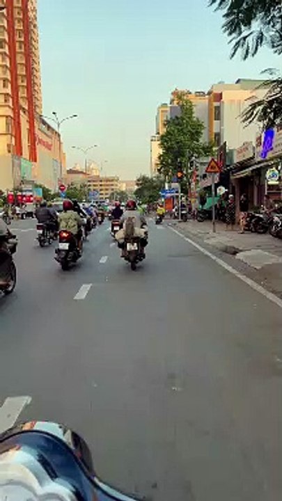 Saigon Pups Commute On Scooter