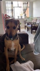 Si je ne peux pas le voir, ce n'est pas un problème