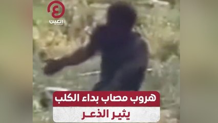 هروب مصاب بداء الكلب يثير الذعر