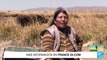 Bolivia: alerta por bajos niveles de agua del lago Titicaca