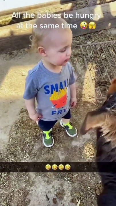 I want some milk too   #milkybaby #babyandcow #babymilk #infant  #baby #babyapp #babyboy #funnykids #funnybaby #cutebaby #cutebaby #babyvideos #funnybaby #funnybabyvideos #babygirl #babycostume #adorableba