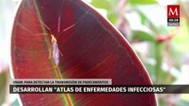 Atlas de Enfermedades Infecciosas; UNAM trabaja en red de enfermedades de acceso público
