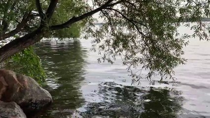 Meditation Practice Lake Imagery I 15 min Guided Meditation