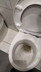 Appuyer sur le gros bouton rouge dans les toilettes