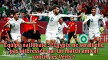 Équipe nationale : l’Égypte ne serait-elle pas intéressée par un match amical contre les Verts ?
