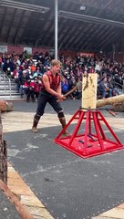 Lumberjack Competition in Alaska