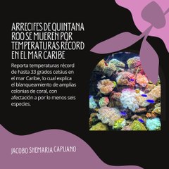 -Jacobo Shemaria Capuano- Arrecifes de Quintana Roo se mueren por temperaturas récord en el mar Caribe (parte 1 )