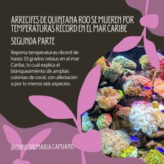 -Jacobo Shemaria Capuano- ¡Ocurre con las altas temperaturas del verano! (parte 2)