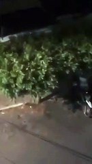 Guarda municipal reage a assalto e situação acaba em tragédia