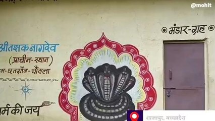 नाग पंचमी: बरगद के पेड़ के नीचे नागदेव का अनोखा मंदिर, होती है मनोकामना पूर्ण