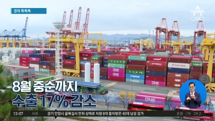 [경제 톡톡톡]8월 중순까지 수출 17% 감소