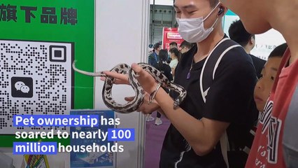 Ballgowns, surveillance and cloning for sale at China pet fair