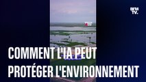 Comment l'intelligence artificielle peut aider à protéger l'environnement