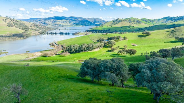 Georges Creek Road, Georges Creek | August 21, 2023 | Farmonline