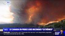 14 millions d'hectares brûlés, 170.000 évacués... Les feux 