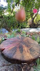 بالفيديو، دجاج مشوي محشي مع الارز