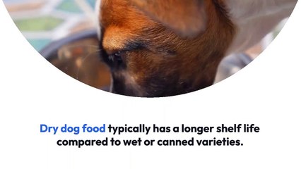 Dog Food Store in Florida - Obey The Paw