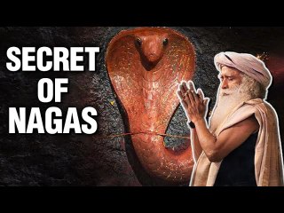 Secret Of Nagas | Sadhguru On 12 Mystical Serpents | Naag Panchami 2023