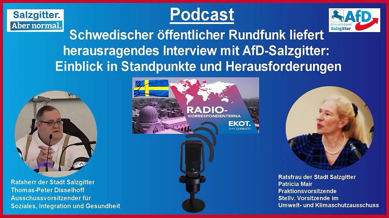 Interview mit einem Auslandskorrespondenten_ # AfD-Hochburg #Salzgitter und ihre Herausforderungen