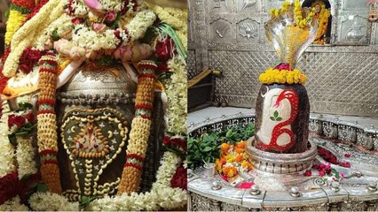 Sawan 2023 के सातवें सोमवार पर अद्भुत संयोग, भक्त कर रहे भगवान महाकाल और नागचंद्रेश्वर के दर्शन
