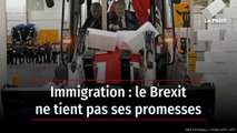 Immigration : le Brexit ne tient pas ses promesses