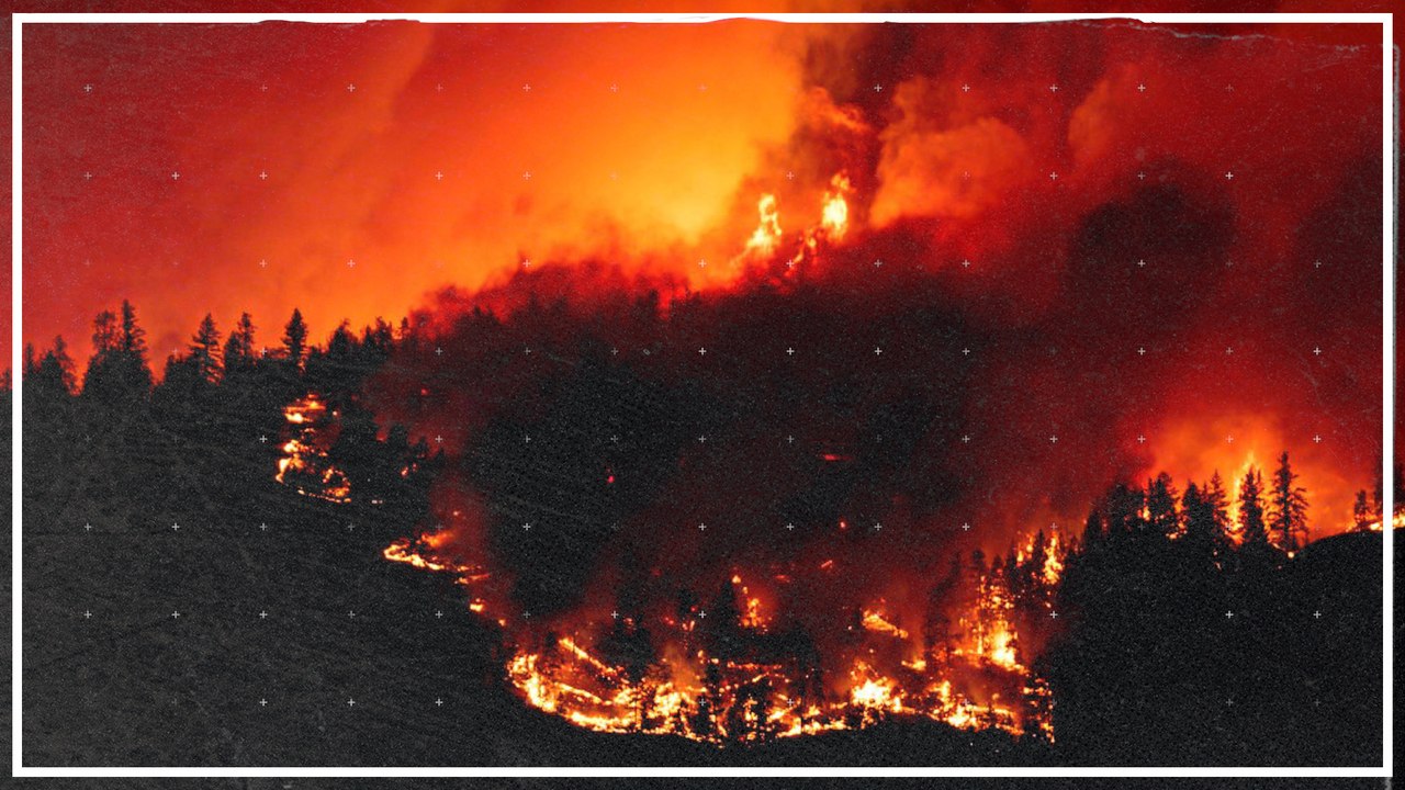 Brände in Kanada - Zehntausende sollen sich in Sicherheit bringen