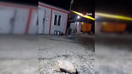 Ayının kediyle yemek kavgası kamerada