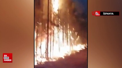 İspanya yangın felaketiyle boğuşuyor