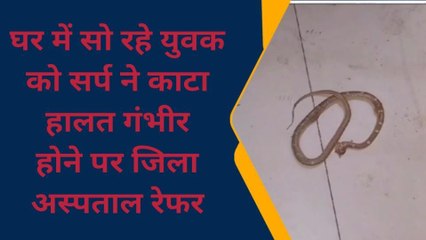 फर्रुखाबाद: घर में सो रहे युवक को सर्प ने काटा, सांप को किया कैद