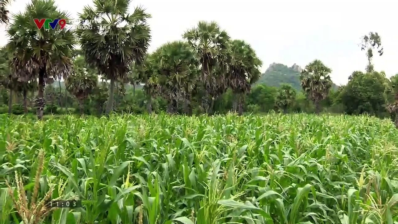 Cổi mộng Tập 4