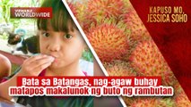 Bata sa Batangas, nag-agaw buhay matapos makalunok ng buto ng rambutan | Kapuso Mo, Jessica Soho