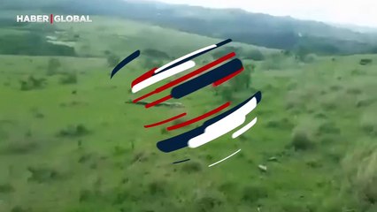 Devasa yılanın Van'da görüntülendiği iddiası sosyal medyayı salladı!