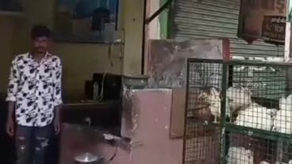 पन्ना: शराब के नशे में युवक की खौफानक वारदात, हालत देख कांप उठे लोग